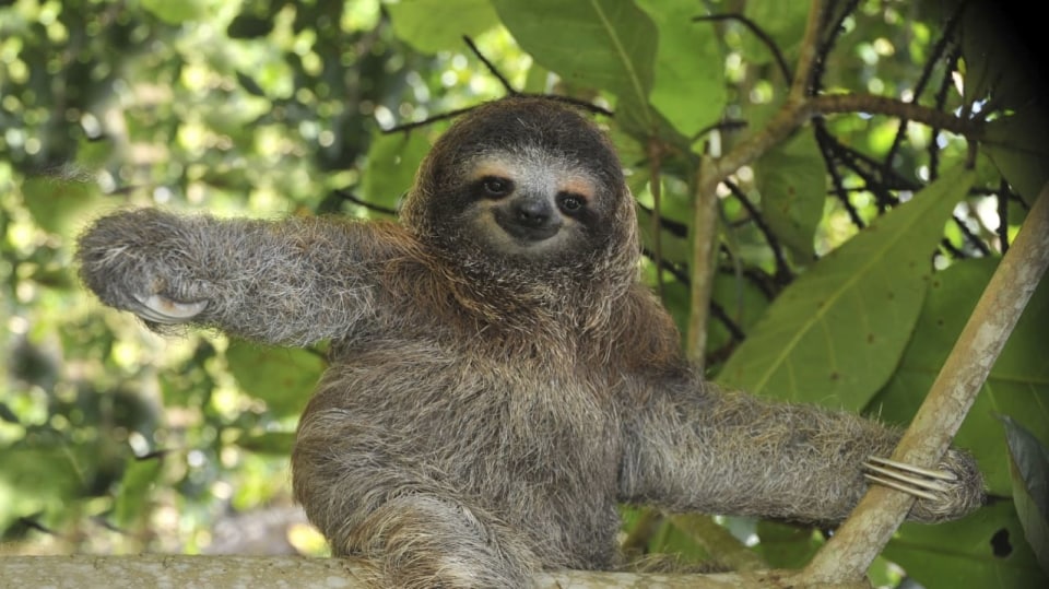 FOTO: Thinkstock